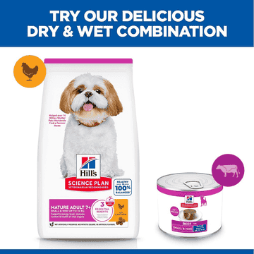 Canine Small & Mini Breed Mature Adult Beef - Can