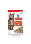 Feline Adult Turkey - Sachet