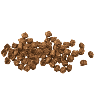 Rind Guddis - Schweizer Fleisch