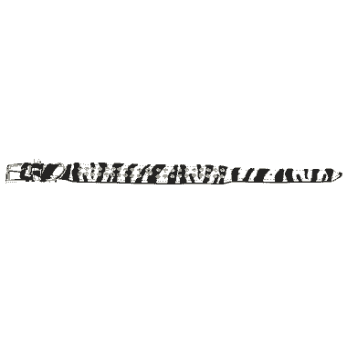Deluxe Halsband Zebra