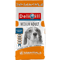 ADULT Medium for Dog