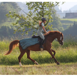 Couvre-reins anti-mouches Summer Stroll - vert