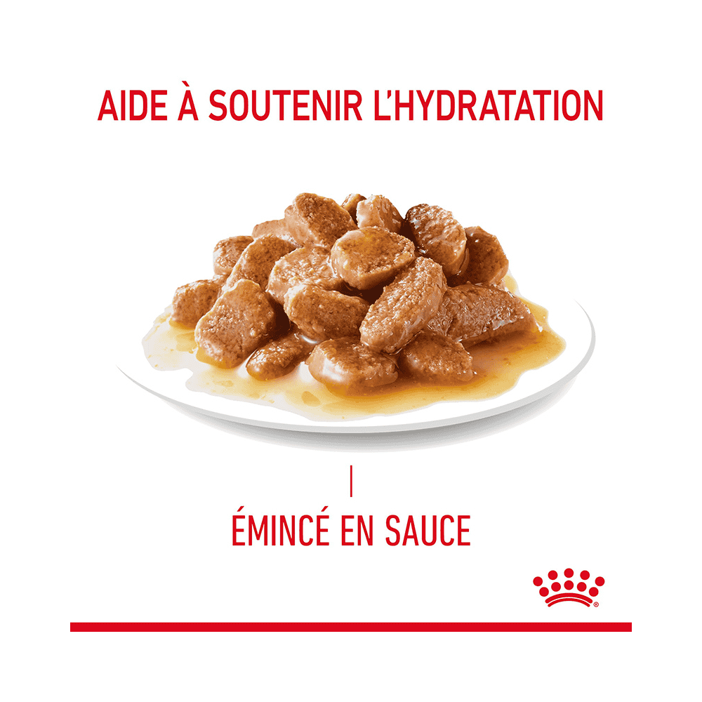 Light Weight Care Gravy - Sachet