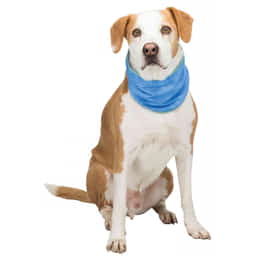 Kühlbandana PVA