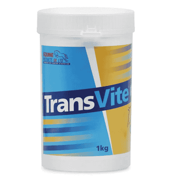 TransVite Gut Balancer