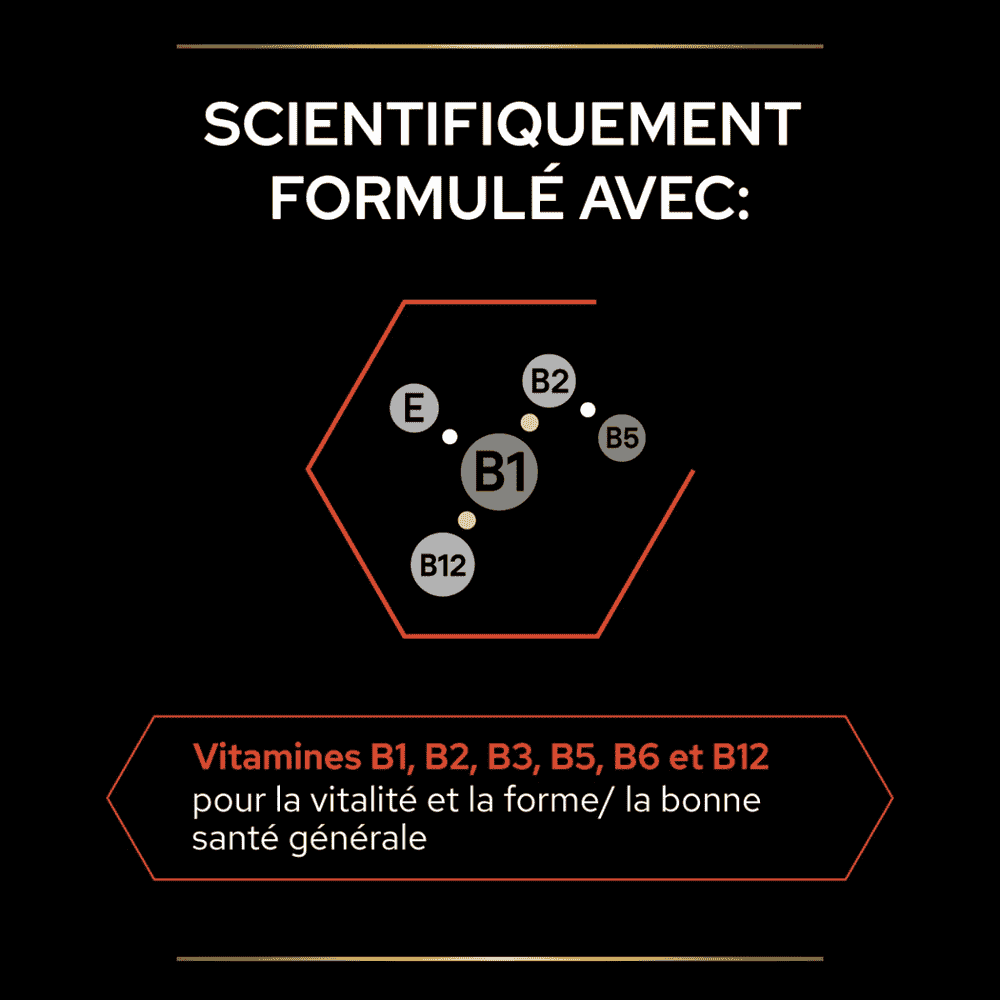 Dog Multivitamins +