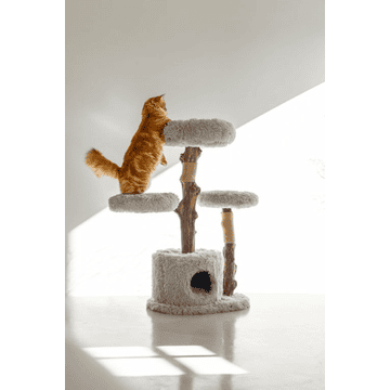 Arbre à chat en bois Ziza