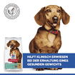 Canine Adult Perfect Weight Mini Breed