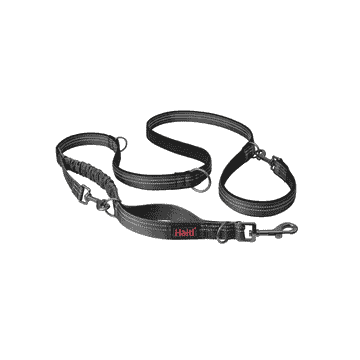Anatomy leashes, gray