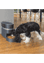 Smart Feed Alimentateur automatique WIFI