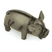 Latex pig