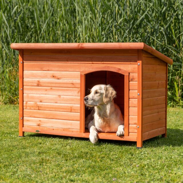Natura Niche pour chiens Classic