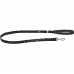 Elegant Black leashes