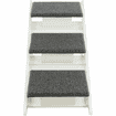 Ramp with fold-out steps