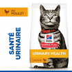 Feline Urinary Health