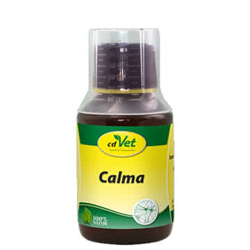 Calma