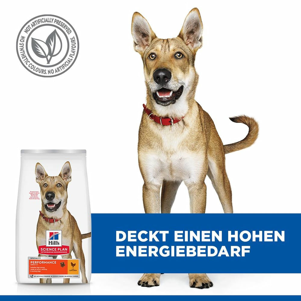 Canine Performance Adult