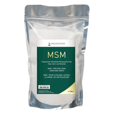 MSM