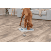 Dog Activity Chess