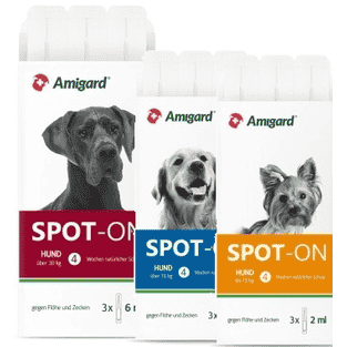 Spot-on Floh- und Zeckenschutz Hund