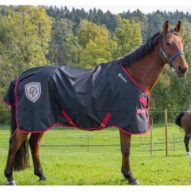 Weidedecke Dallas 200 g - schwarz