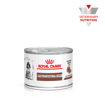 Gastrointestinal Puppy Ultra Soft Mousse - Boîte