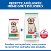 Puppy Large Breed
