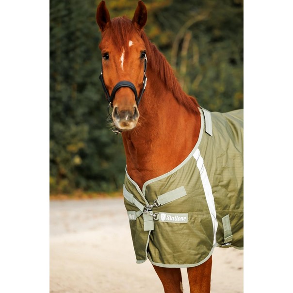 Grazing rug Denver 100 g - olive