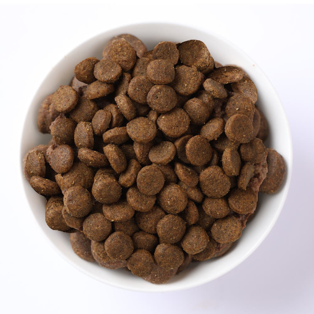 Canine  Puppy med/max Potiron Agneau