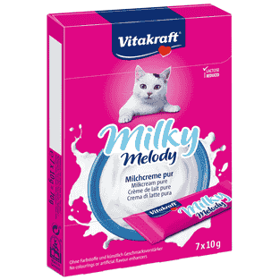 Milky Melody Pur Katze