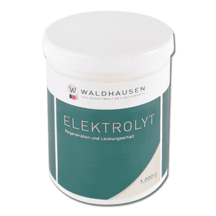 Elektrolyt Pulver
