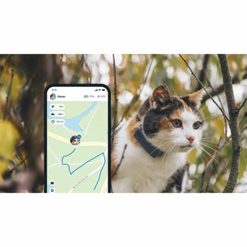 GPS Tracker für Katzen
