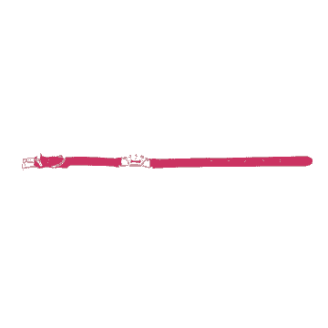 Deluxe Halsband Queen