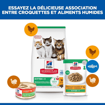 Kitten Chicken - Sachet