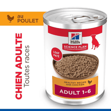 Canine Adult Chicken - Boîte
