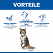 Feline Oral Care