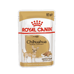 Chihuahua - sachet