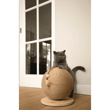 Kratzball Balty
