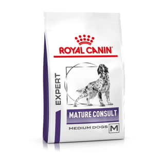 Mature Consult Medium Dog