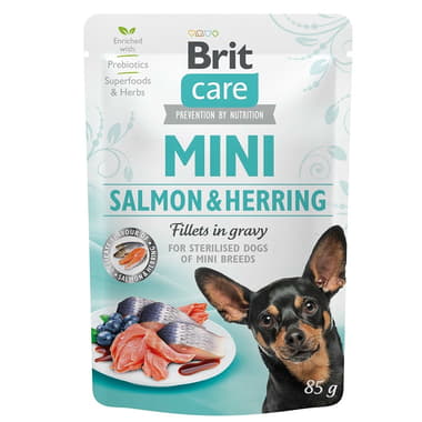 Care Mini Sterilised Salmon & Herring