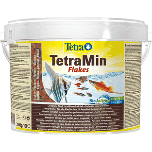 TetraMin Flakes