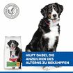 Canine Senior Vitality 6+ Large Breed