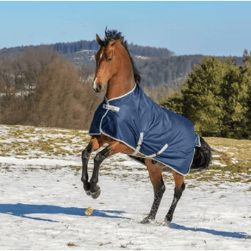 Couverture d'hiver Freedom Turnout 300 g