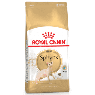 Sphynx