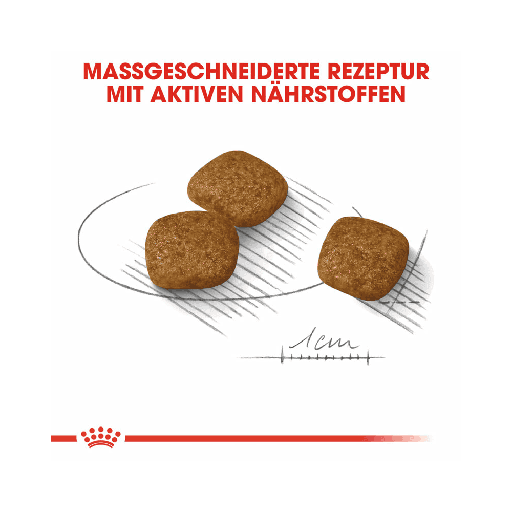 Urinary Care Mini