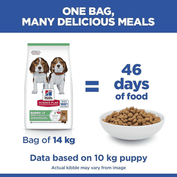 Puppy Medium Breed Lamb & Rice