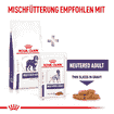 Neutered Adult Large Dog