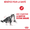 Urinary Care Cat