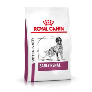 Early Renal Dog