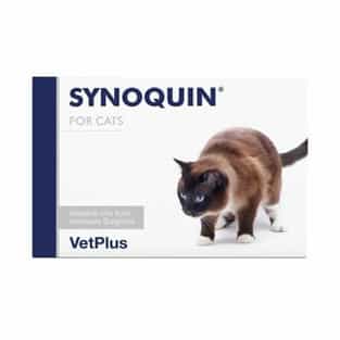 Synoquin Katze